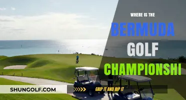 Bermuda Golf Championship: Where's the Action?