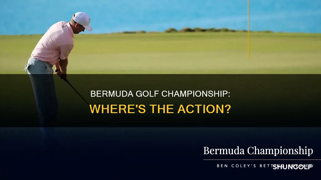 where is the bermuda golf championship