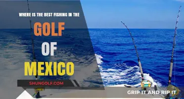 Prime Fishing Spots in the Gulf of Mexico: An Angler's Guide