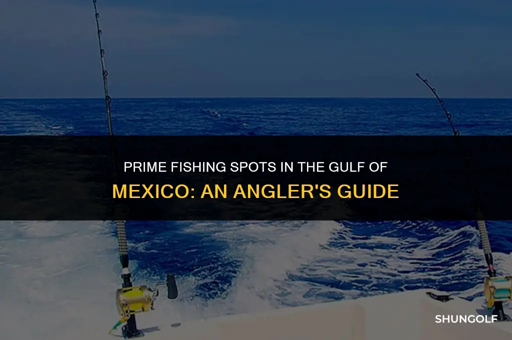 where is the best fishing in the golf of mexico