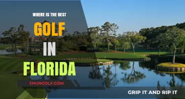 Discover Florida's Premier Golf Destinations: A Guide to the Best Courses