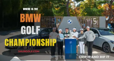BMW Golf Championship: Where's the Green?