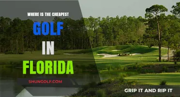 Discover Florida's Most Affordable Golf Courses: Budget-Friendly Greens Guide