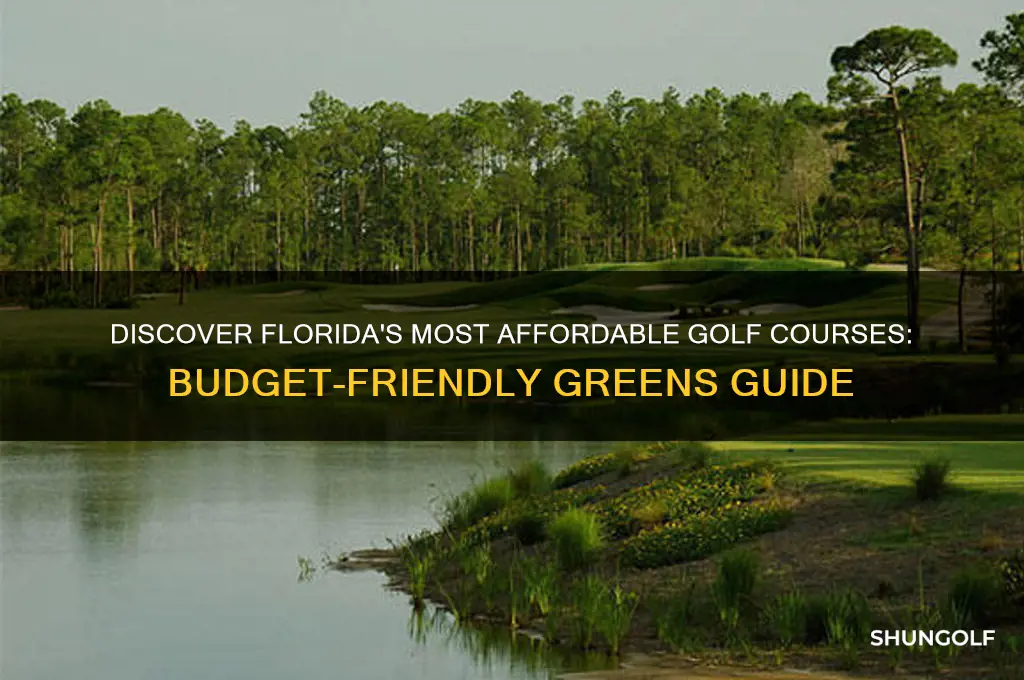 where is the cheapest golf in florida