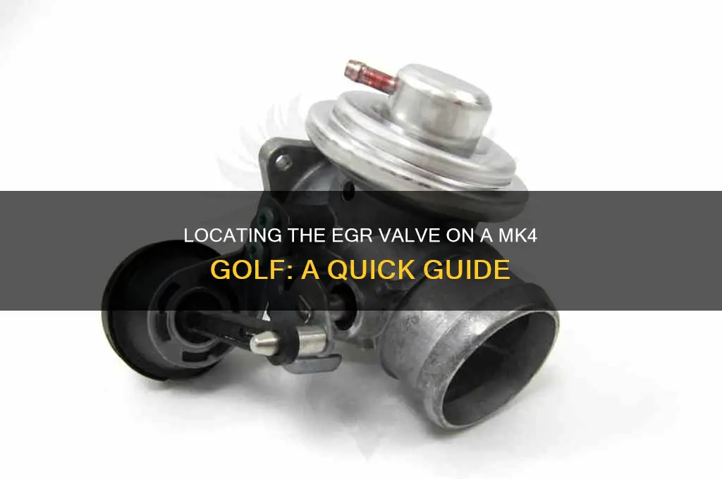 where is the egr valve on a mk4 golf