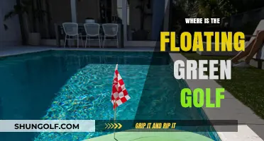 The Floating Green Golf: Where's the Challenge?