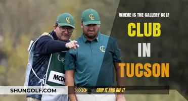 Discovering Tucson's Hidden Gem: The Gallery Golf Club's Location