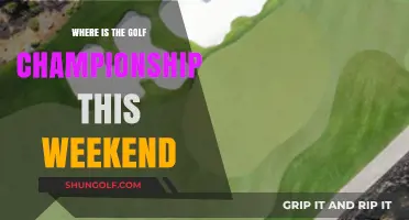 Where to Watch the Golf Championship This Weekend: Location Guide