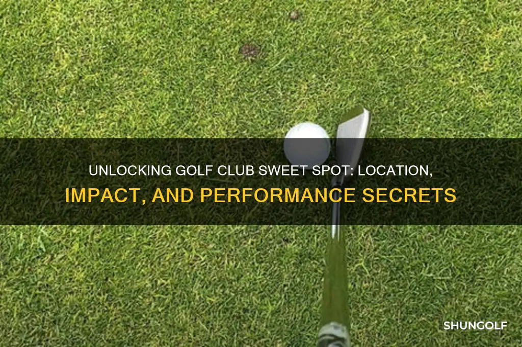 where is the golf club sweet spot