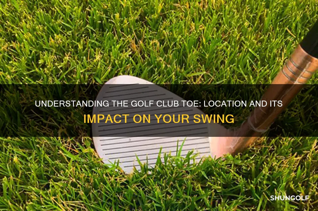 where is the golf club toe