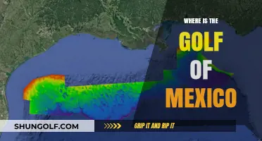 The Gulf of Mexico: A Tropical Paradise