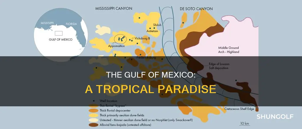 where is the golf of mexico
