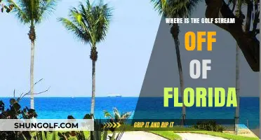Exploring the Gulf Stream's Path Off Florida's Coast