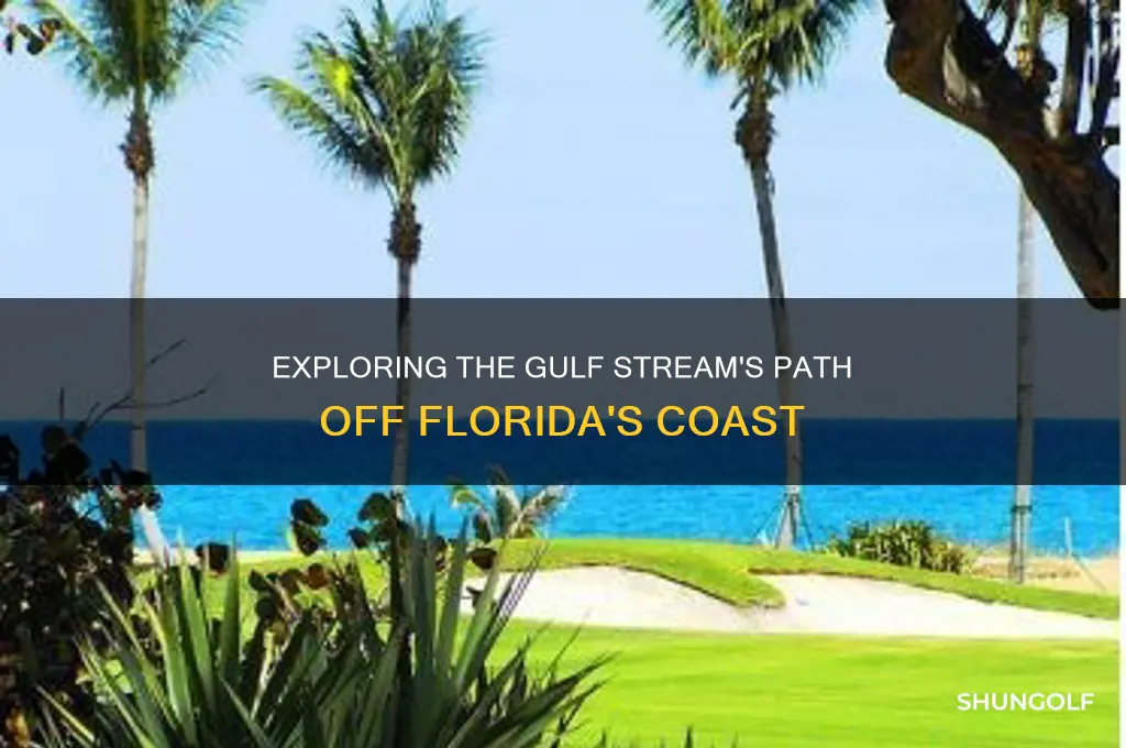where is the golf stream off of florida