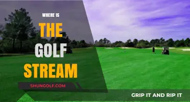The Golf Stream: A Warm Atlantic Current
