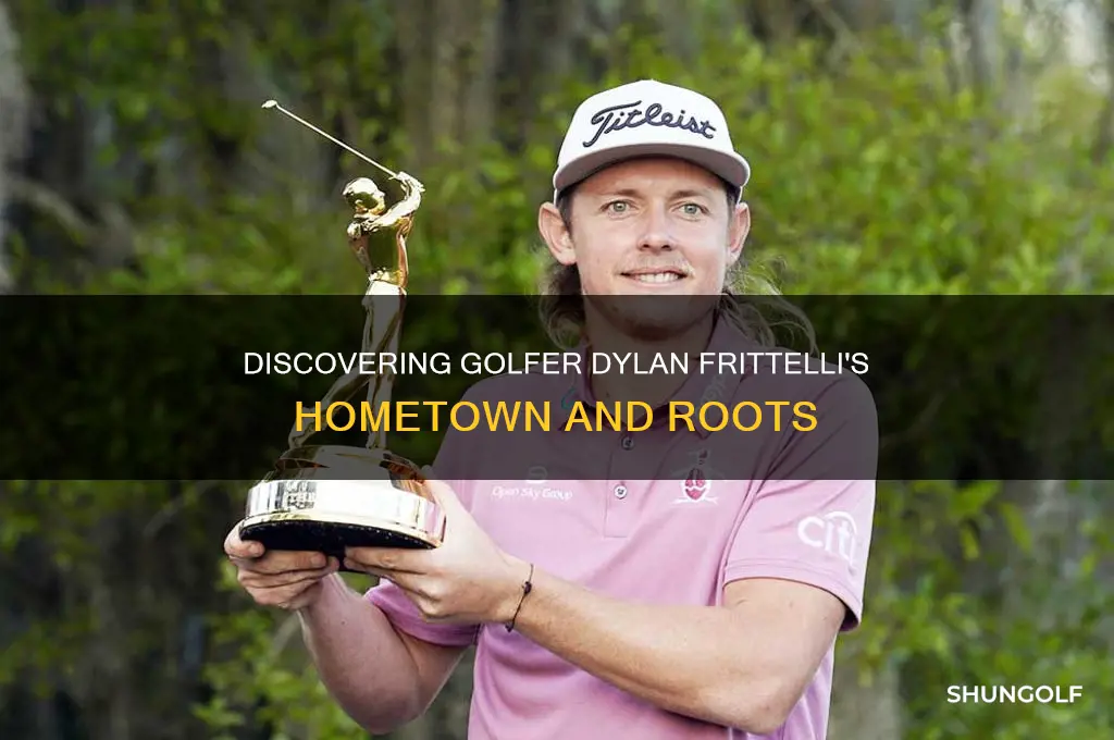 where is the golfer dylan frittelli from