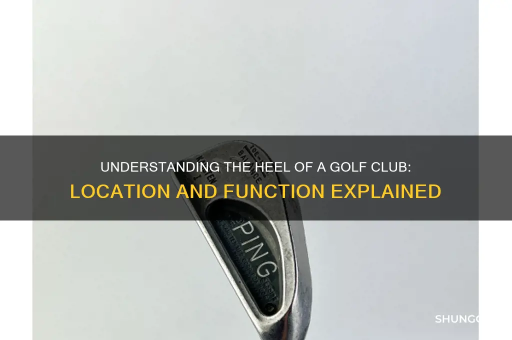 where is the heel of a golf club