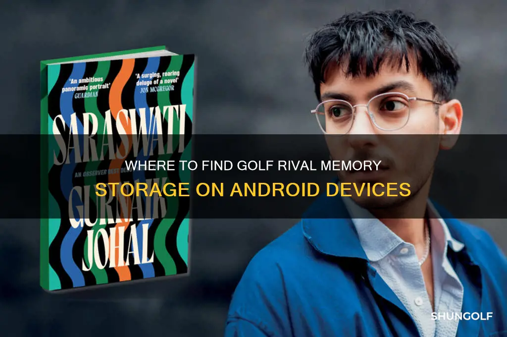 where is the memory for golf rival on android