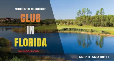 Discovering the Pelican Golf Club's Location in Florida