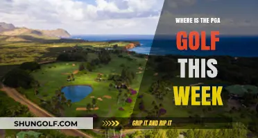PGA Golf This Week: Location, Schedule, and Key Players to Watch