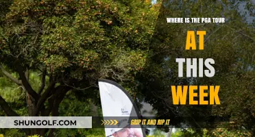 PGA Tour This Week: Location, Schedule, and Key Players to Watch