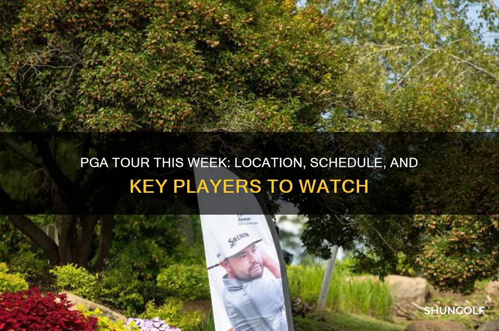 where is the pga tour at this week