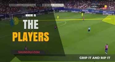 The Players' Locations: An In-Depth Analysis