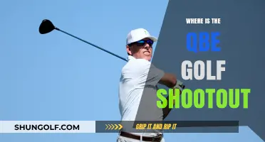 QBE Shootout: Golf's Finest in Florida