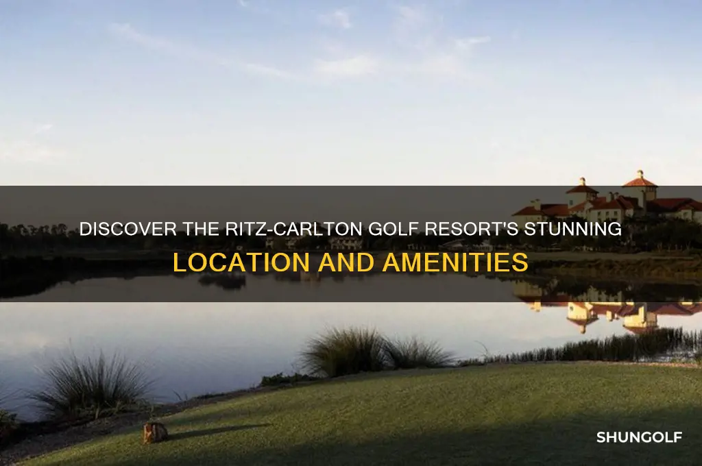 where is the ritz-carlton golf resort