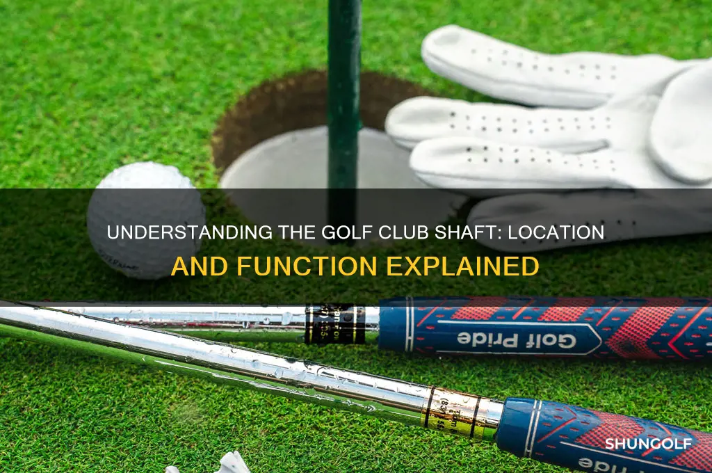 where is the shaft of a golf club