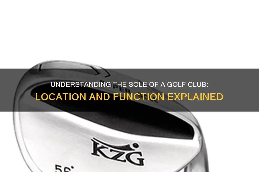 where is the sole of the golf club