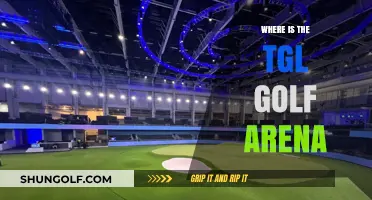 TGL Golf Arena: Where's the Fun?