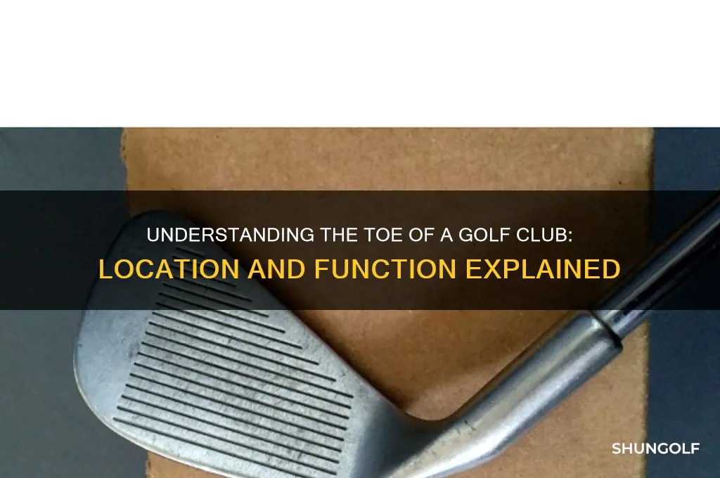where is the toe of a golf club