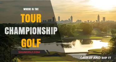 Tour Championship Golf: Where's the Course This Year?