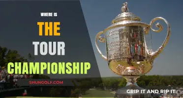 Championship Tour: Where's the Next Destination?