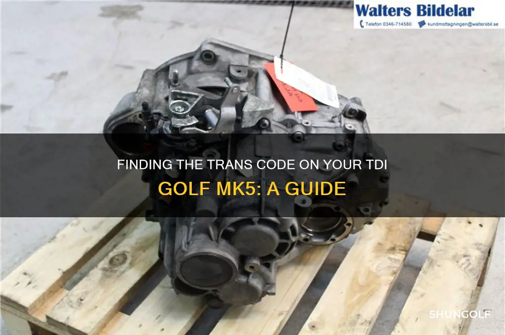 where is the trans code on tdi golf mk5