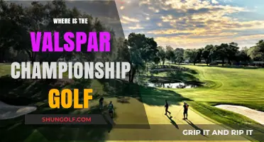 Valspar Championship Golf: Where the Action Unfolds