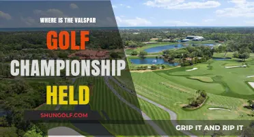 Discovering the Valspar Golf Championship's Stunning Florida Venue