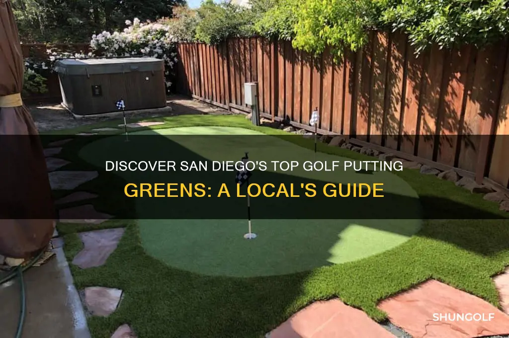 where is there golf putting san diego