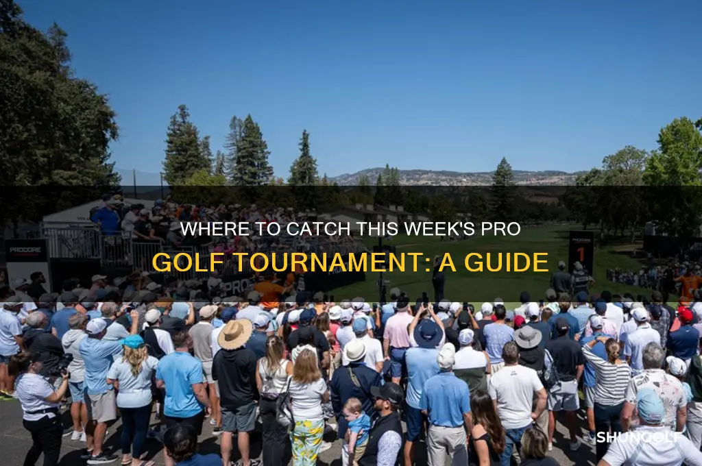 where is this weeks pro golf g