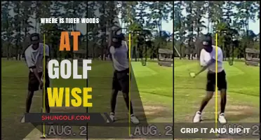 Tiger Woods' Current Golf Standing: Performance, Progress, and Future Outlook