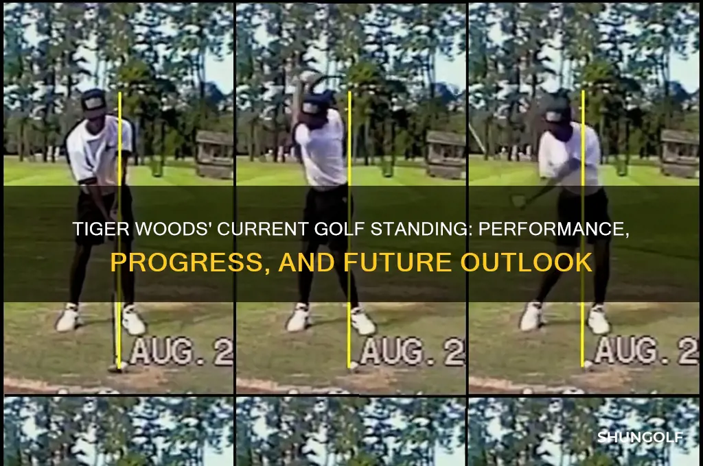where is tiger woods at golf wise