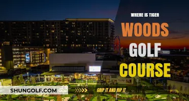 Discovering Tiger Woods' Golf Course: Location and Exclusive Features