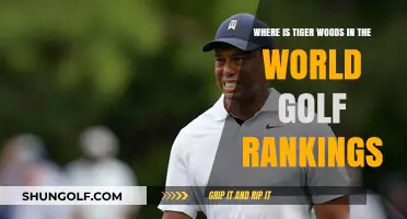 Tiger Woods' Current Position in the World Golf Rankings
