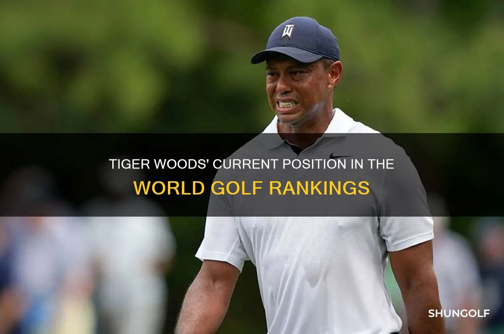 where is tiger woods in the world golf rankings