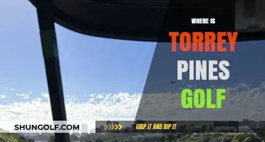 Torrey Pines Golf: Where the Pros Play in California