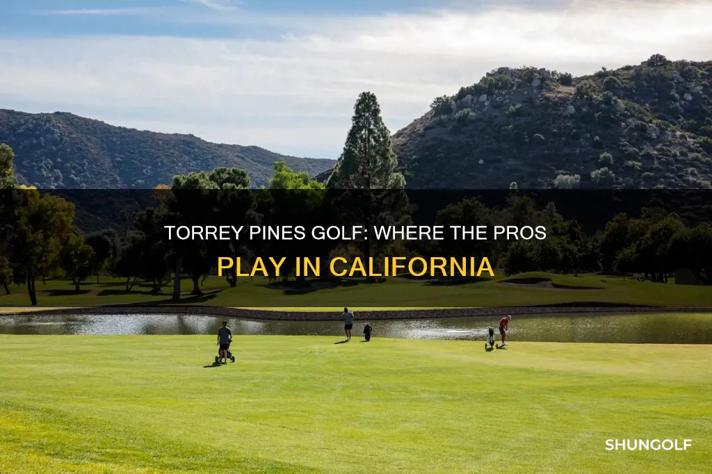 where is torrey pines golf