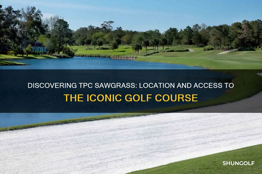 where is tpc sawgrass golf course