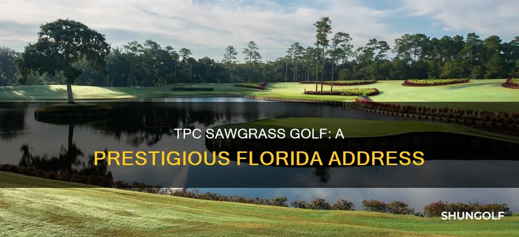 where is tpc sawgrass golf