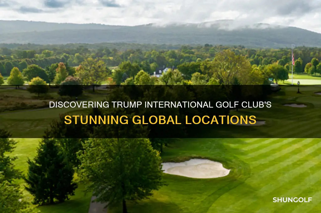 where is trump international golf club